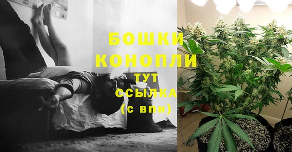 не бодяженный Инсар