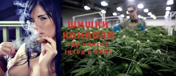 стафф Иннополис