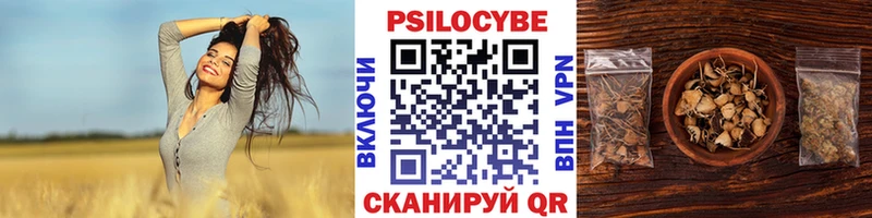 Псилоцибиновые грибы MAGIC MUSHROOMS  Купить где  Выкса 